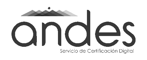 logo andes